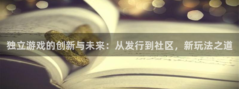 蓝图娱乐官网电子科技怎么样：独立游戏的创新与未来：从发行到社区，新玩法之道