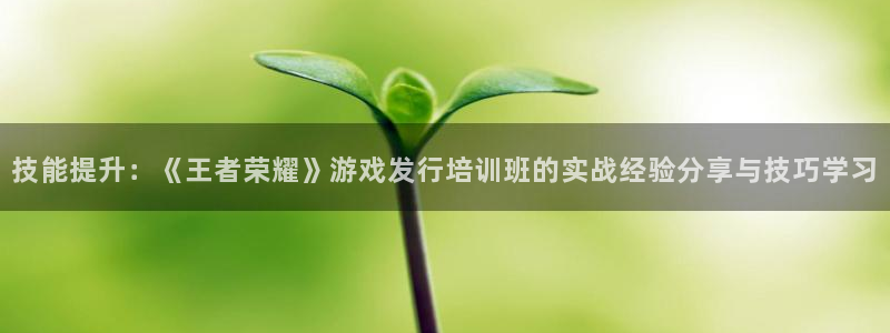 蓝图娱乐登录注册失败怎么办：技能提升：《王者荣耀》游戏发行培训班的实战经验分享与技巧学习