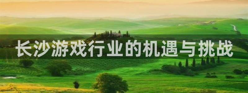 蓝图娱乐官网品牌设计：长沙游戏行业的机遇与挑战
