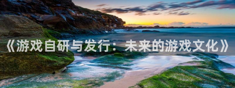 蓝图娱乐官网科技有限公司