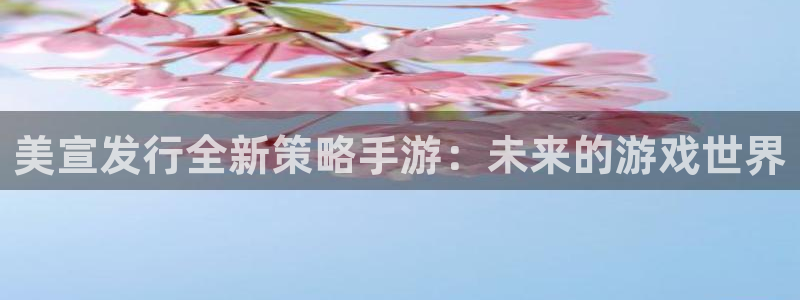 广州蓝图娱乐官网网络科技有限公司电话