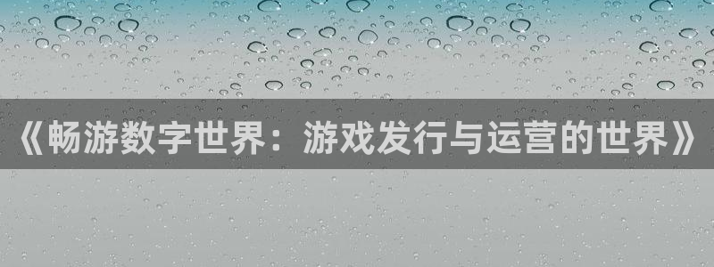 蓝图娱乐官网的所有小说：《畅游数字世界：游戏发行与运营的世界》