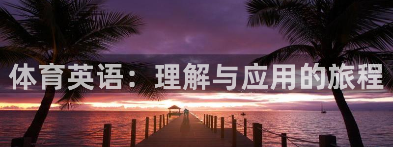 bsport必一运动：体育英语：理解与应用的旅程