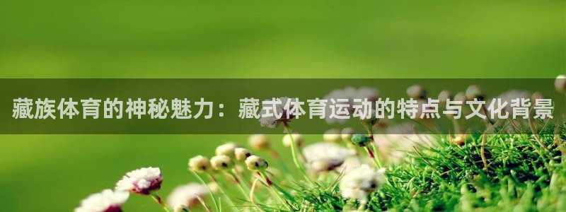必一运动app：藏族体育的神秘魅力：藏式体育运动的特点与文化背景