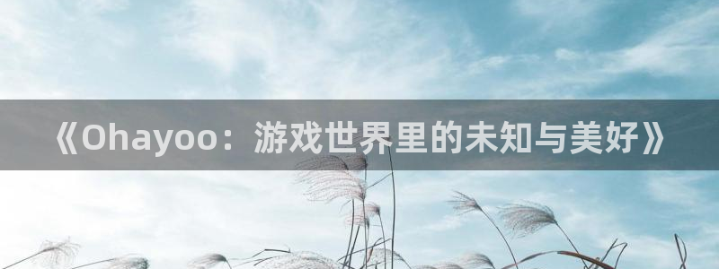 蓝图娱乐平台是骗局吗：《Ohayoo：游戏世界里的未知与美好》