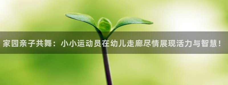 必一运动体育官网：家园亲子共舞：小小运动员在幼儿走廊尽情展现活力与智慧！
