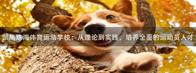 必一运动：聚焦珠海体育运动学校：从理论到实践，培养全面的运动员人才