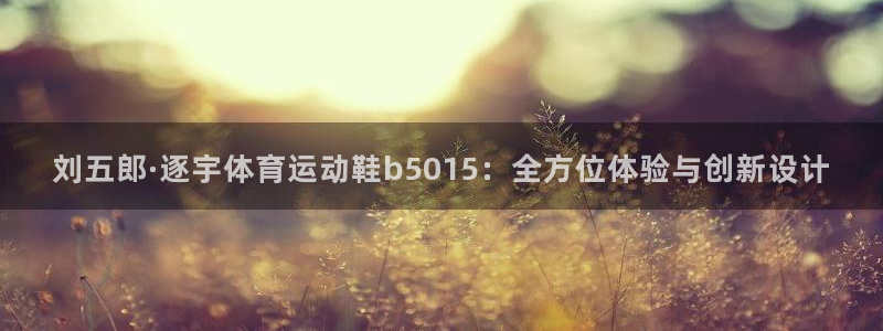 b体育必一运动官网：刘五郎·逐宇体育运动鞋b5015：全方位体验与创新设计