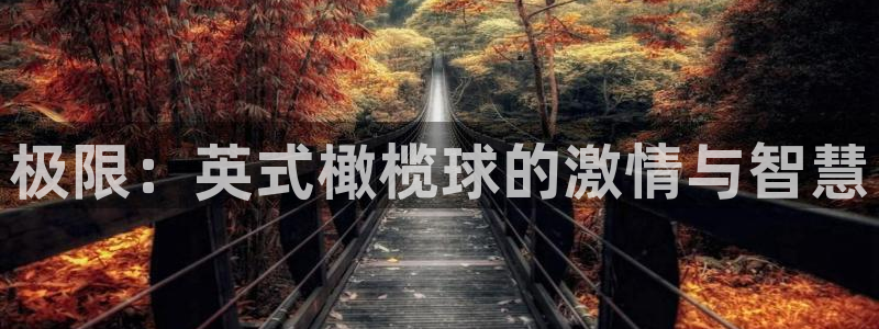 bsports必一运动：极限：英式橄榄球的激情与智慧