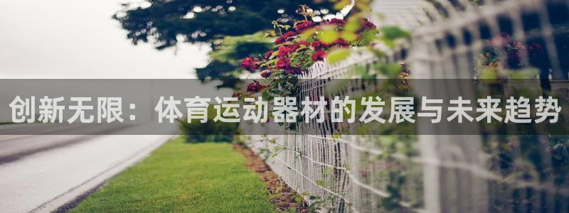 bsports官网 必一运动：创新无限：体育运动器材的发展与未来趋势