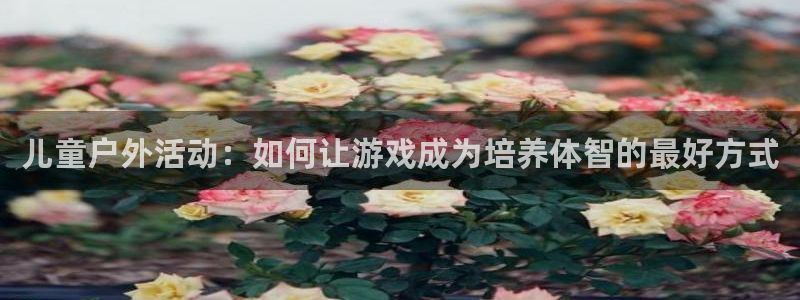 bsports必一运动：儿童户外活动：如何让游戏成为培养体智的最好方式